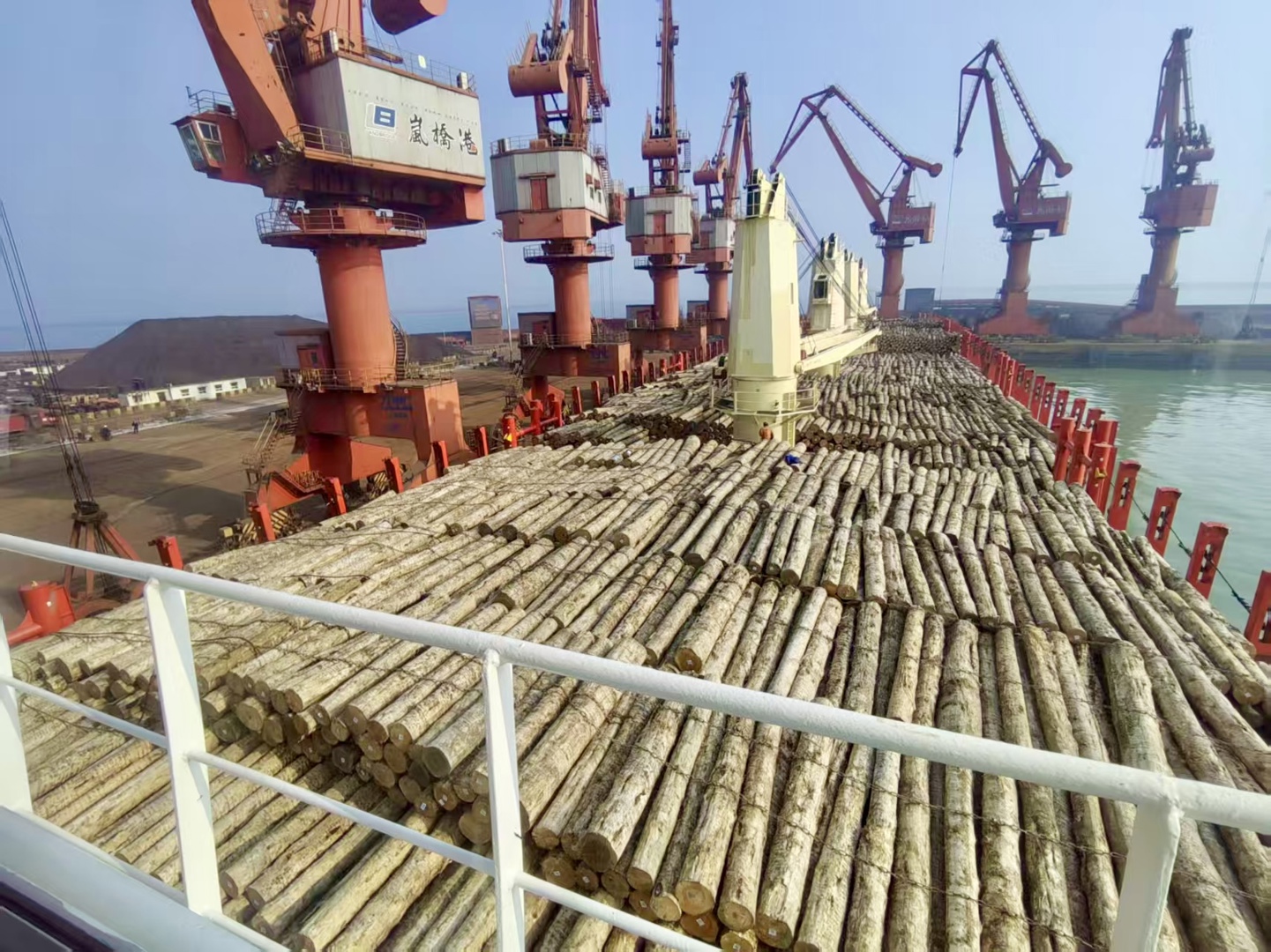 12.22 国贸拓展事业部 陈蕾 2.png